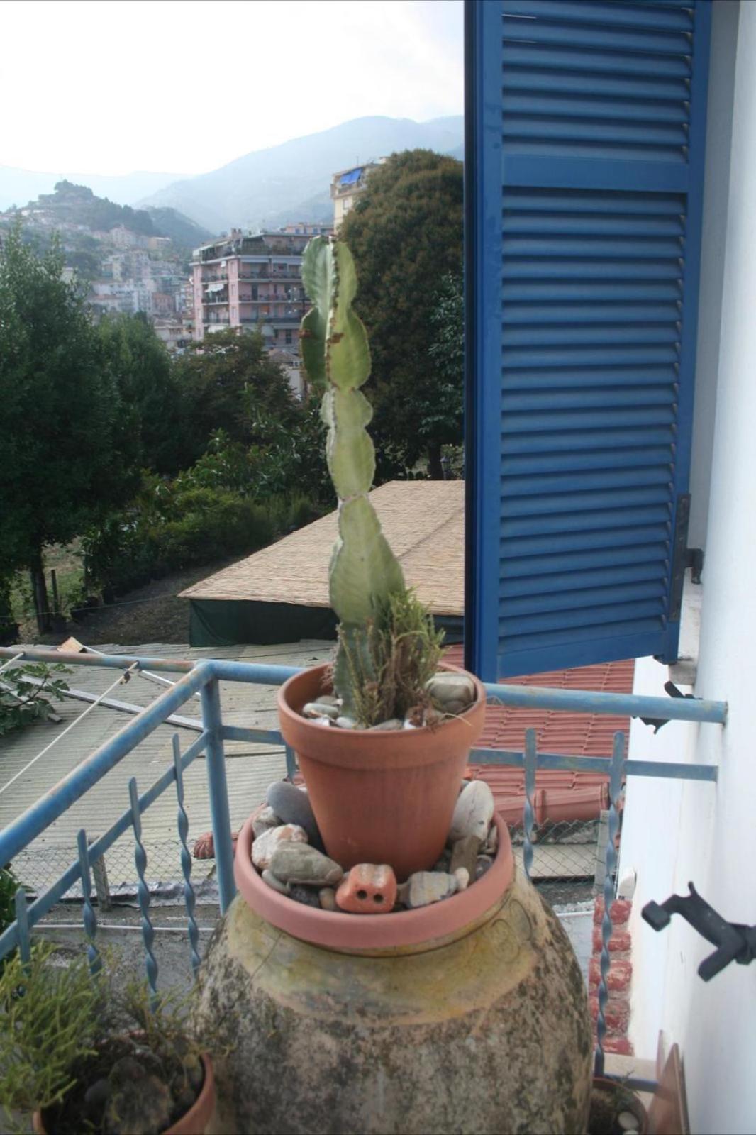 La Casa Di Flora Daire Sanremo Dış mekan fotoğraf